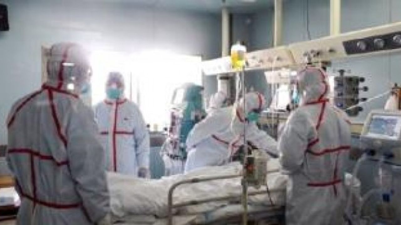 Çin'de kuş gribinden 79 kişi öldü