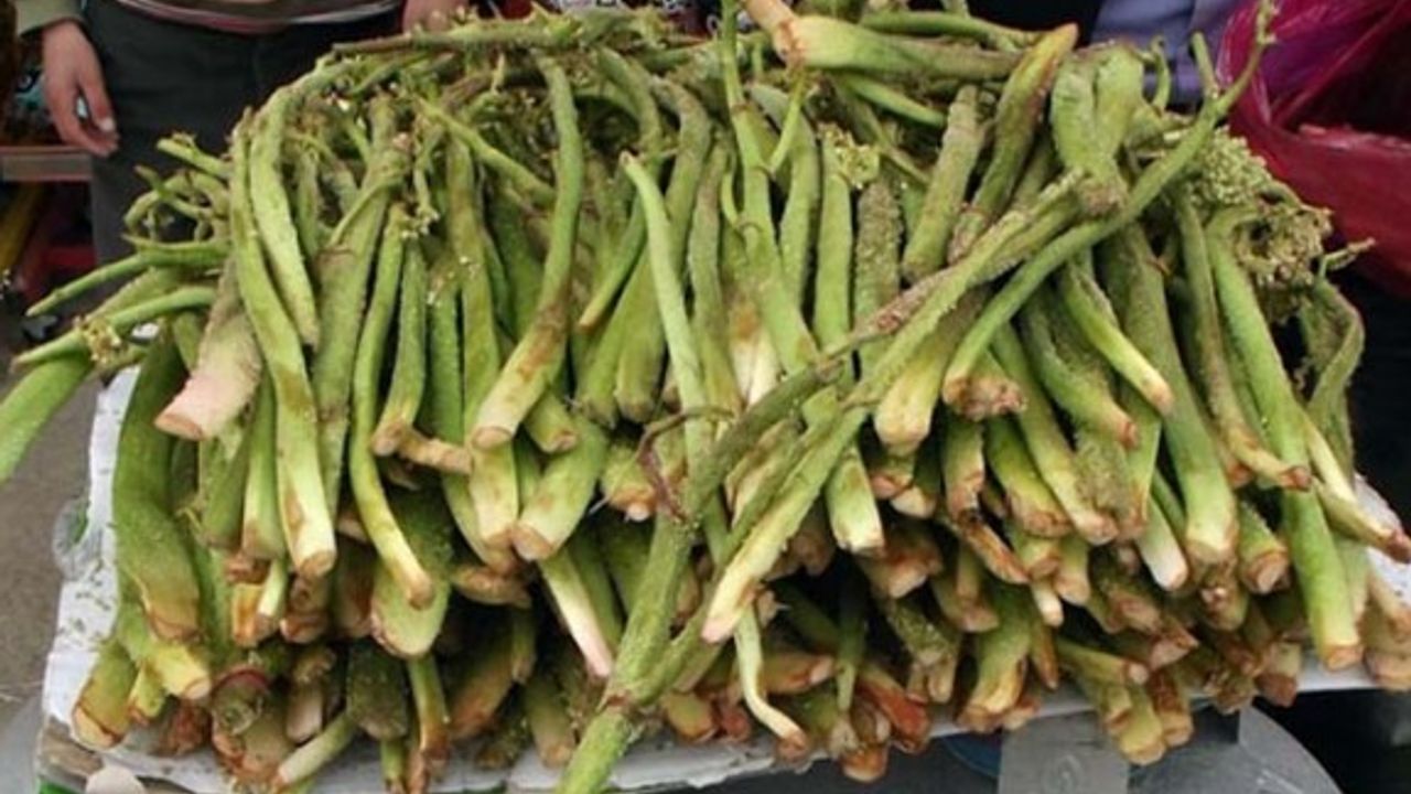 İki günde kanser hücrelerini öldüren sebze