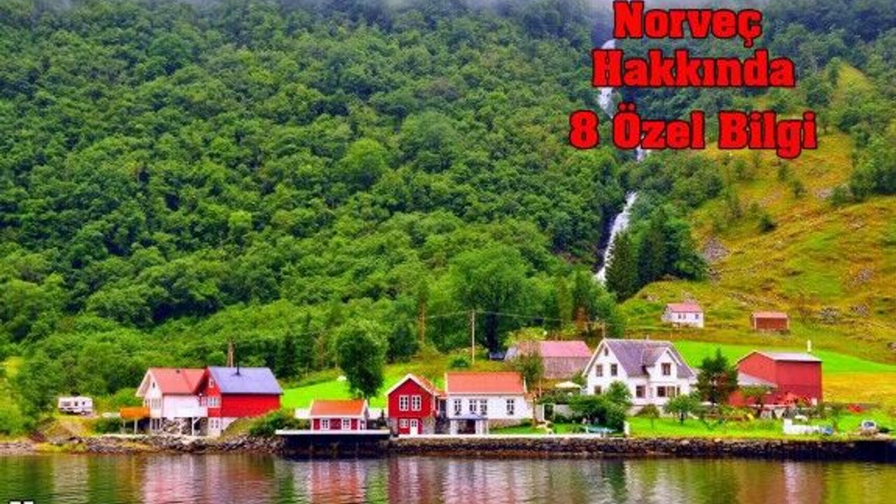 Adamlar Nelerle Uğraşıyor!" Dedirtecek Norveç Hakkında 8 Özel Bilgi