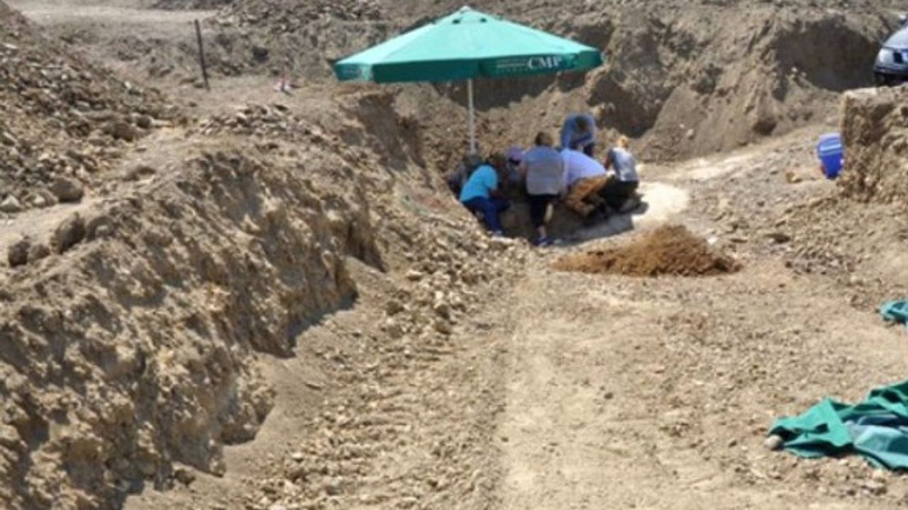 Paşaköy'de kayıp kazıları başladı