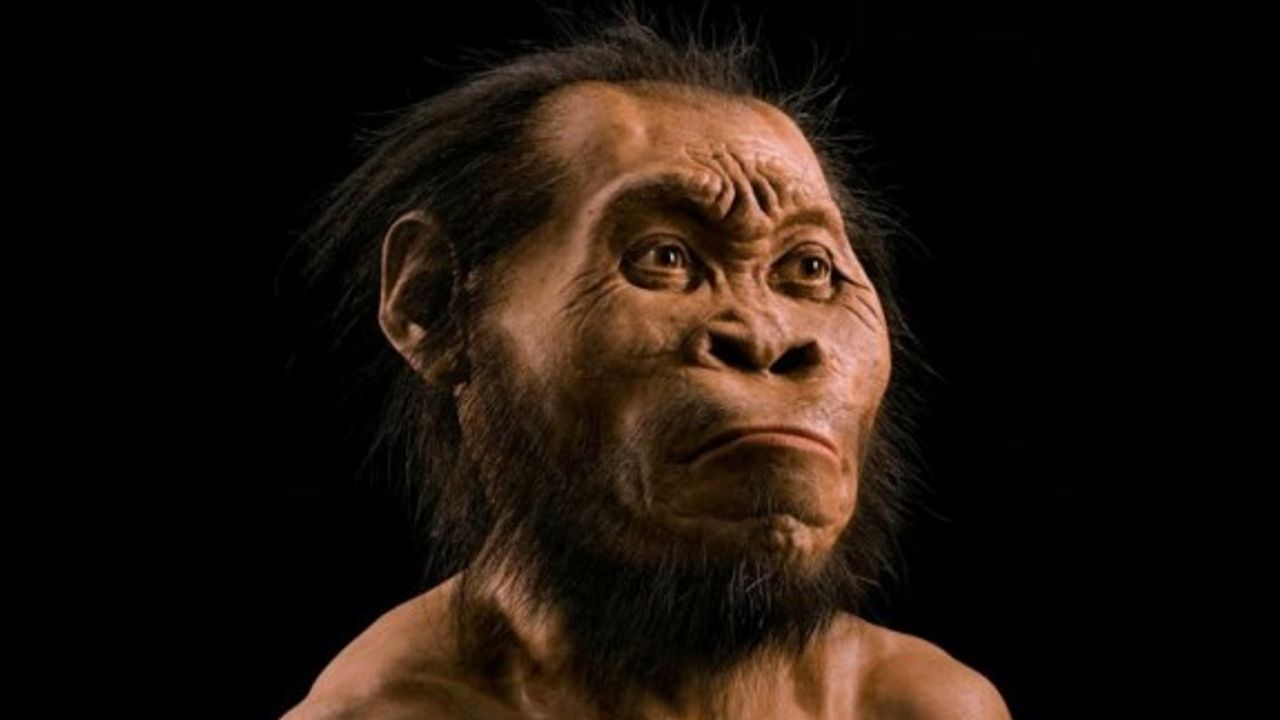 Yeni Bir İnsan Türü Bulundu: Homo Naledi