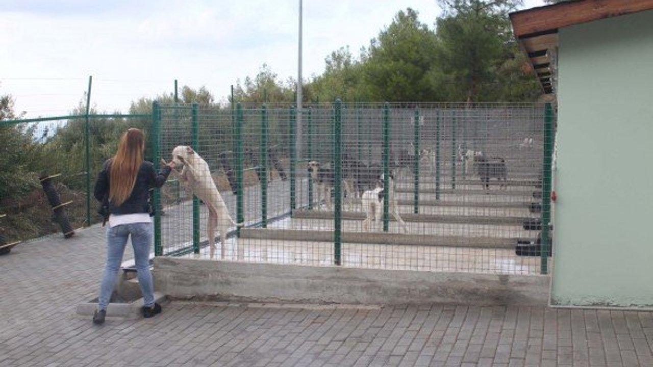 Karaman'daki Hayvan Barınağı ve Rehabilitasyon Merkezi hizmete açıldı