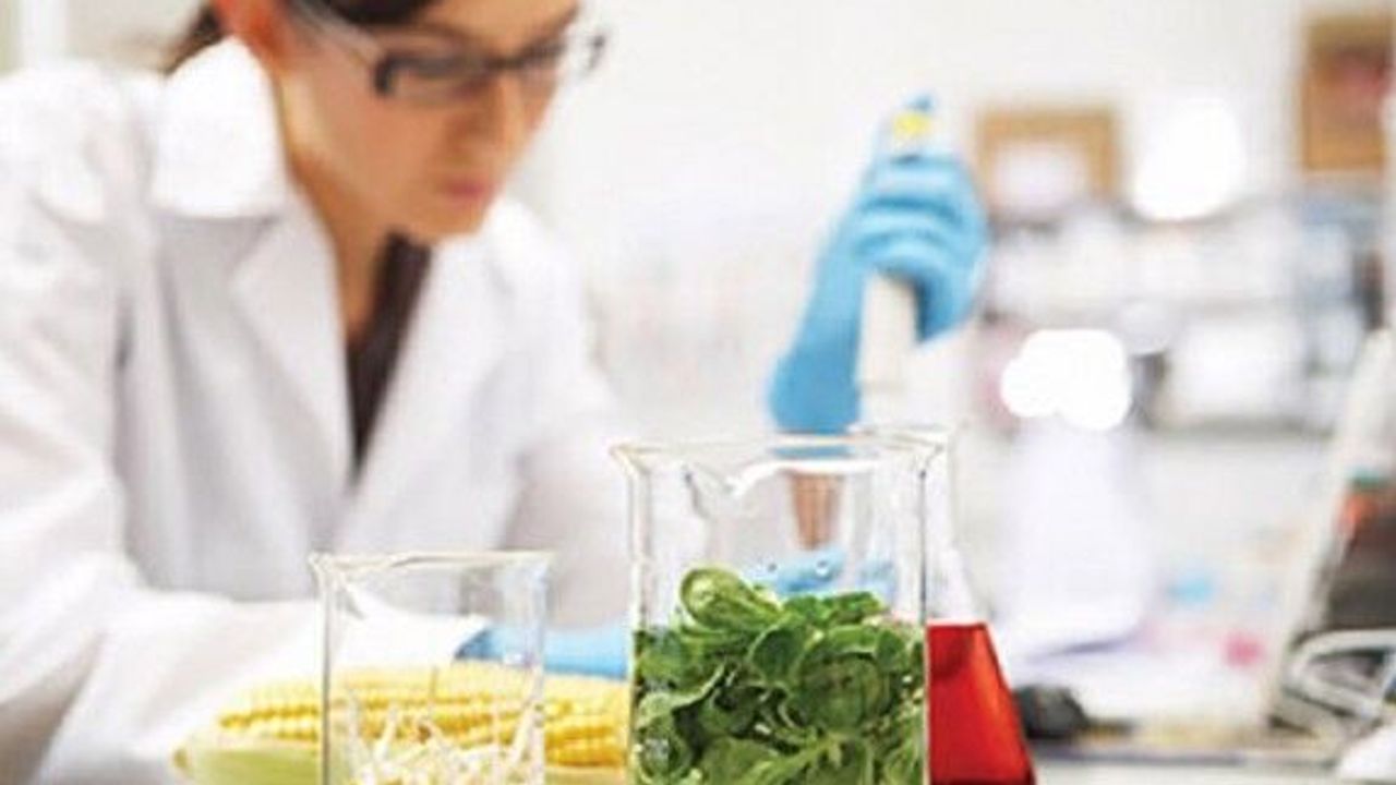 Fasulye ve kabakta limit üstü kalıntı