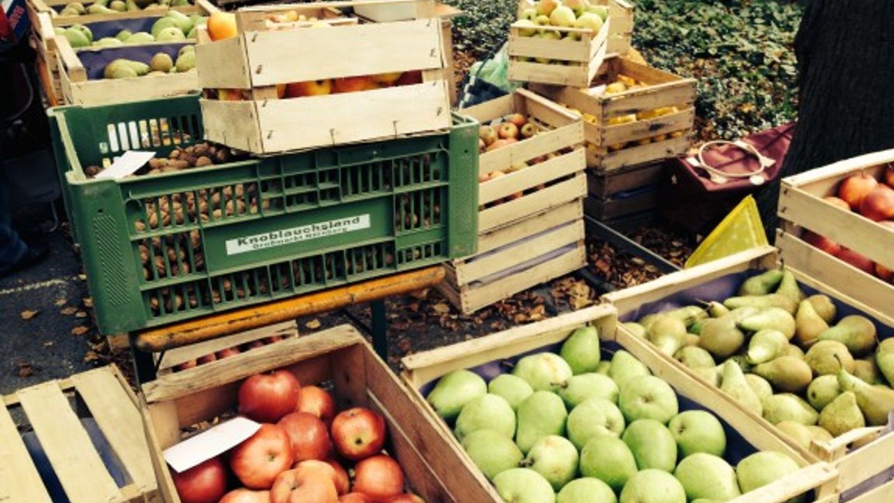 Sebze meyvede yine limit üstü kalıntı