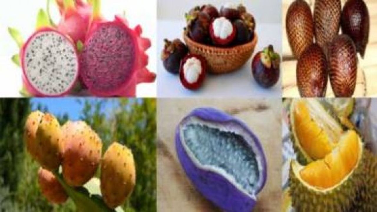Kolay kolay bulamayacağınız 10 ilginç meyve