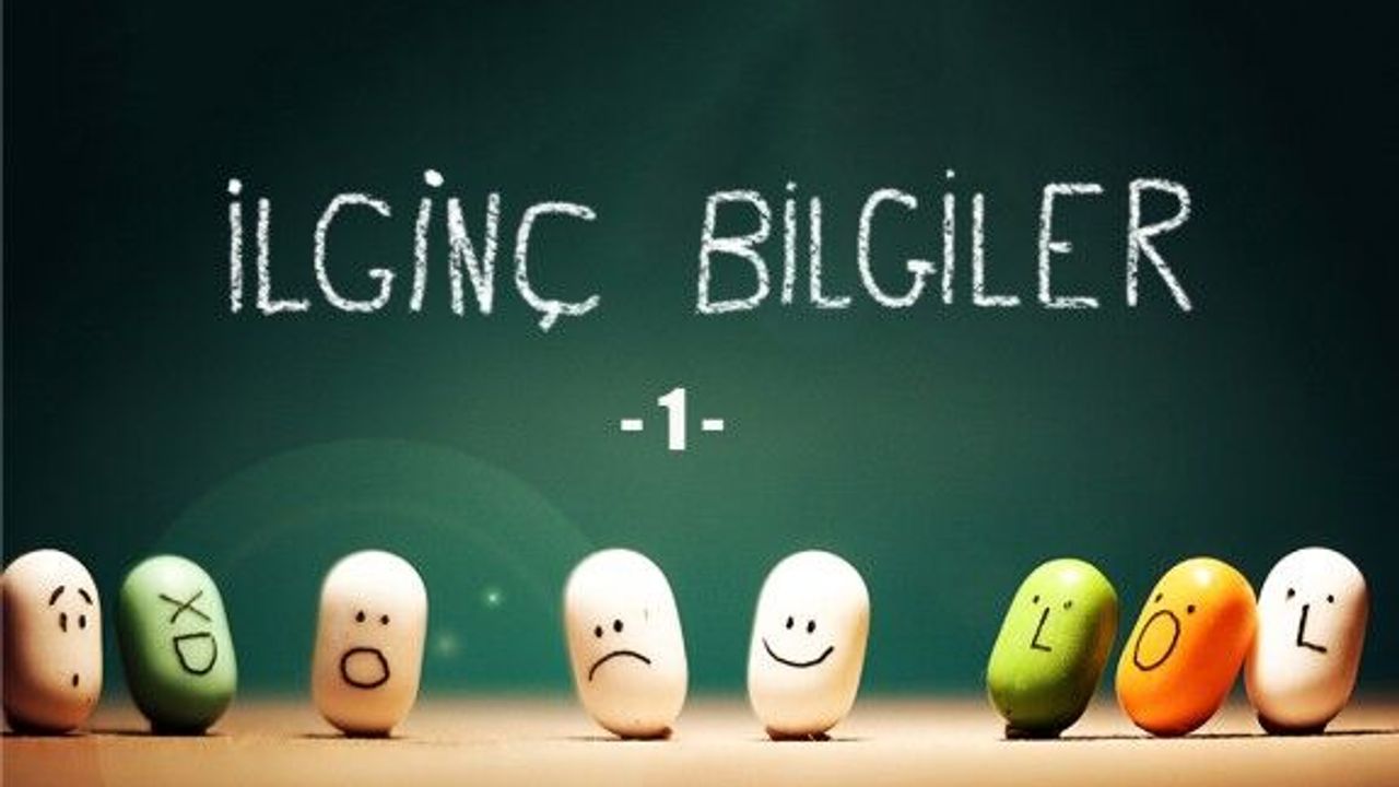 Çok az kişinin bildiği ilginç bilgiler 1