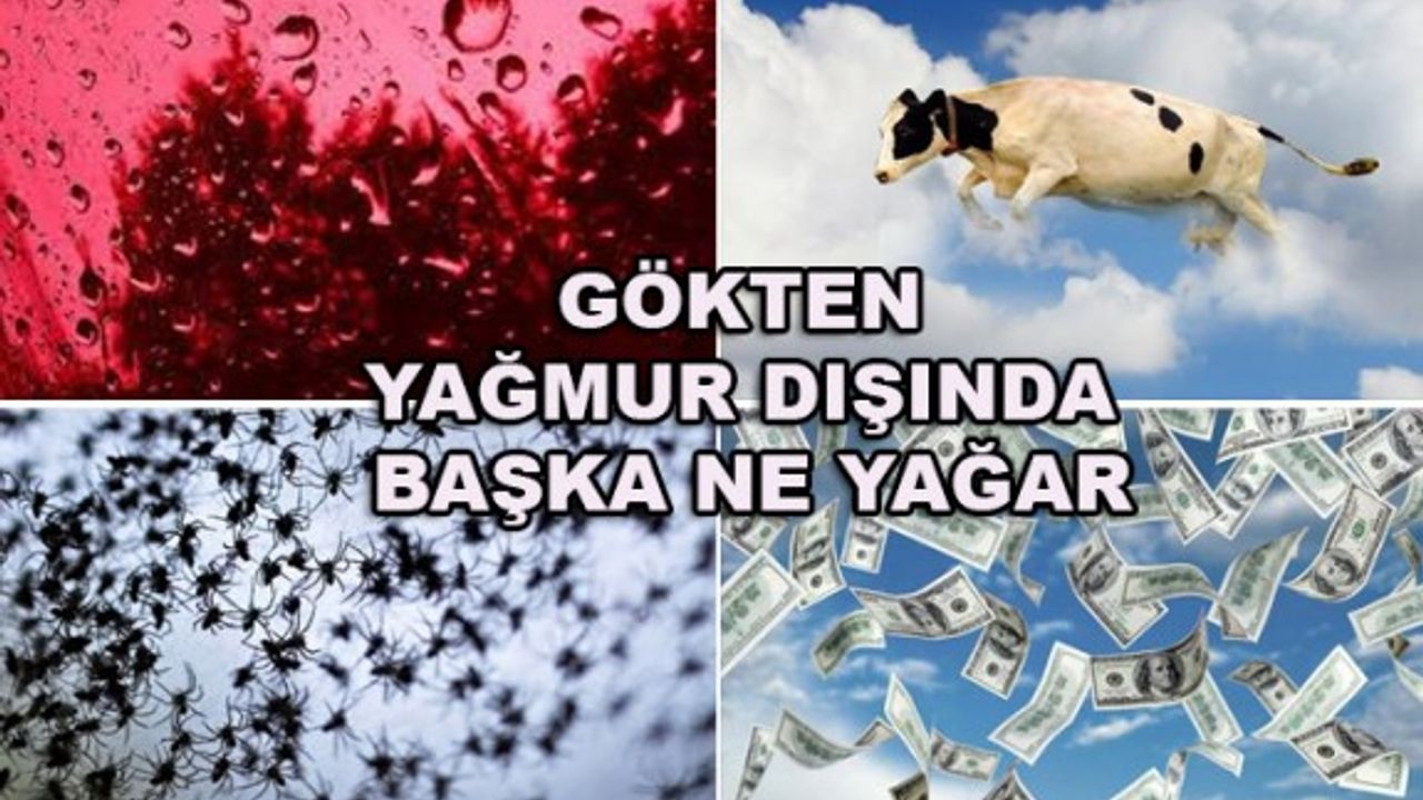 Gökten yağanlara inanamayacaksınız