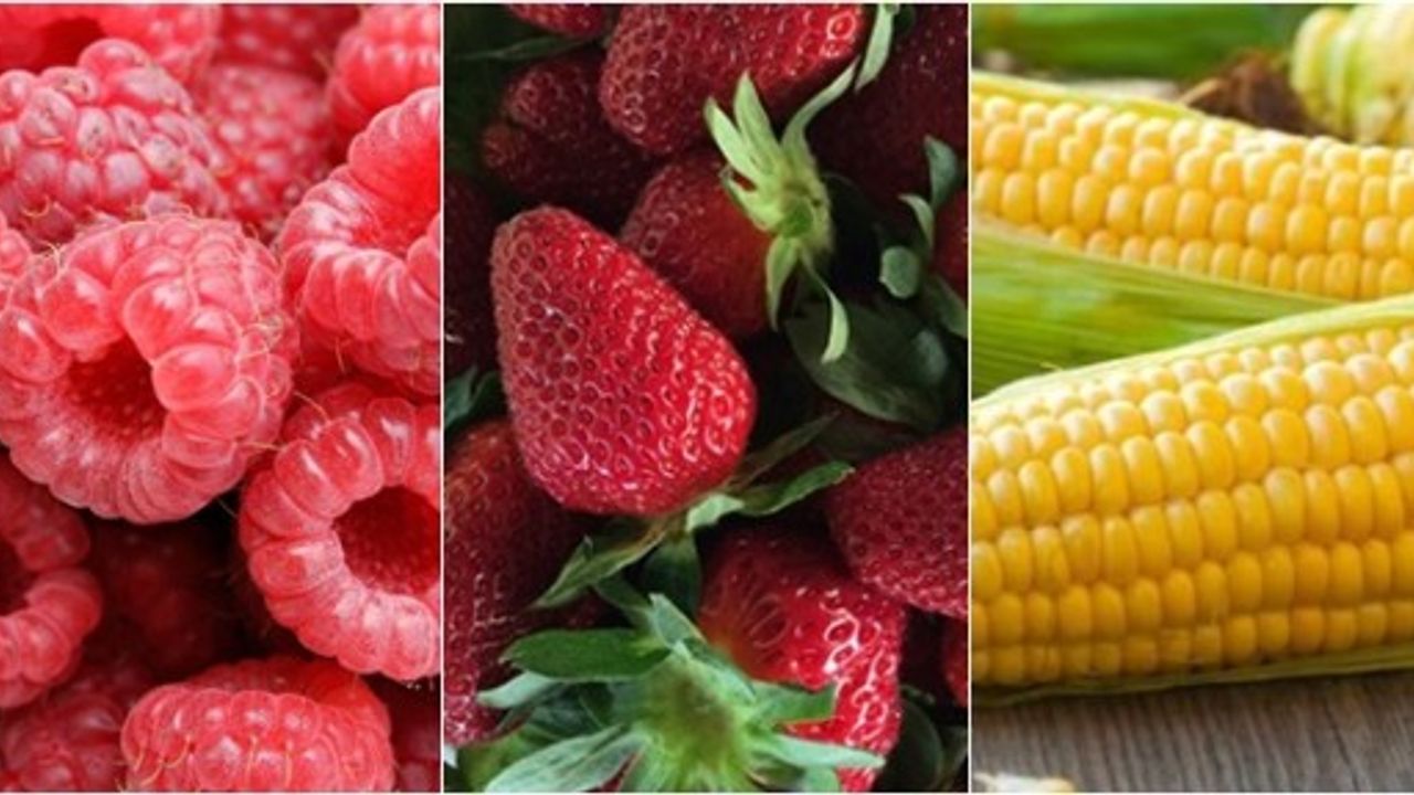 Kış Boyunca Tüketebileceğiniz 16 Yaz Meyvesi ve Sebzesi