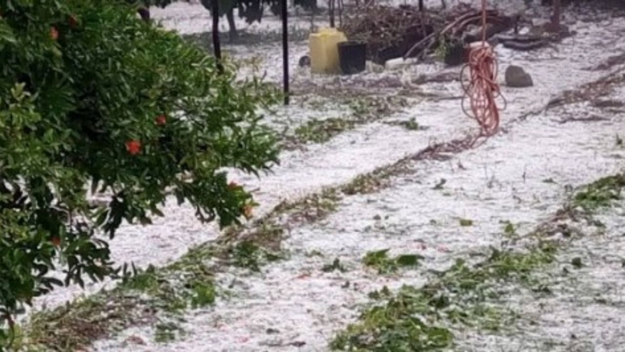 2018 yılı Dolu ve Brucella tazminatları ödendi