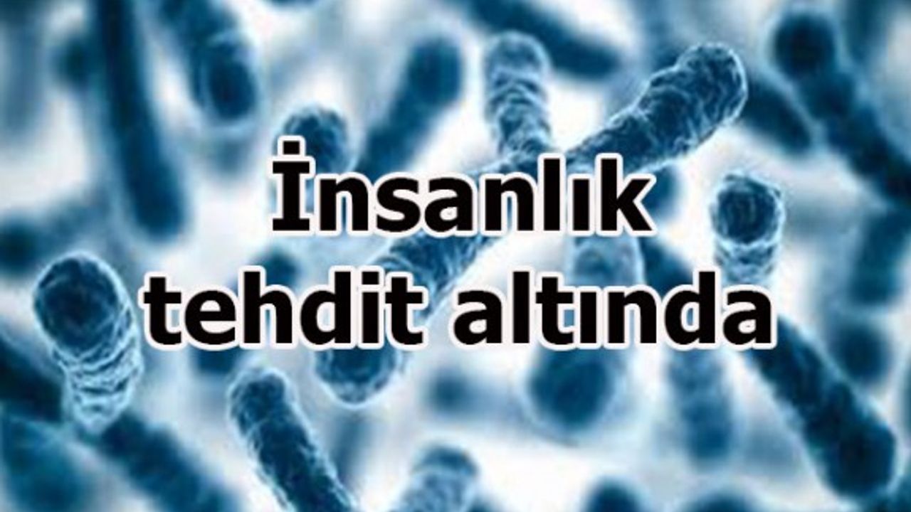 Her An Salgın Hastalığa Dönüşebilecek 10 Tehlikeli Virüs!