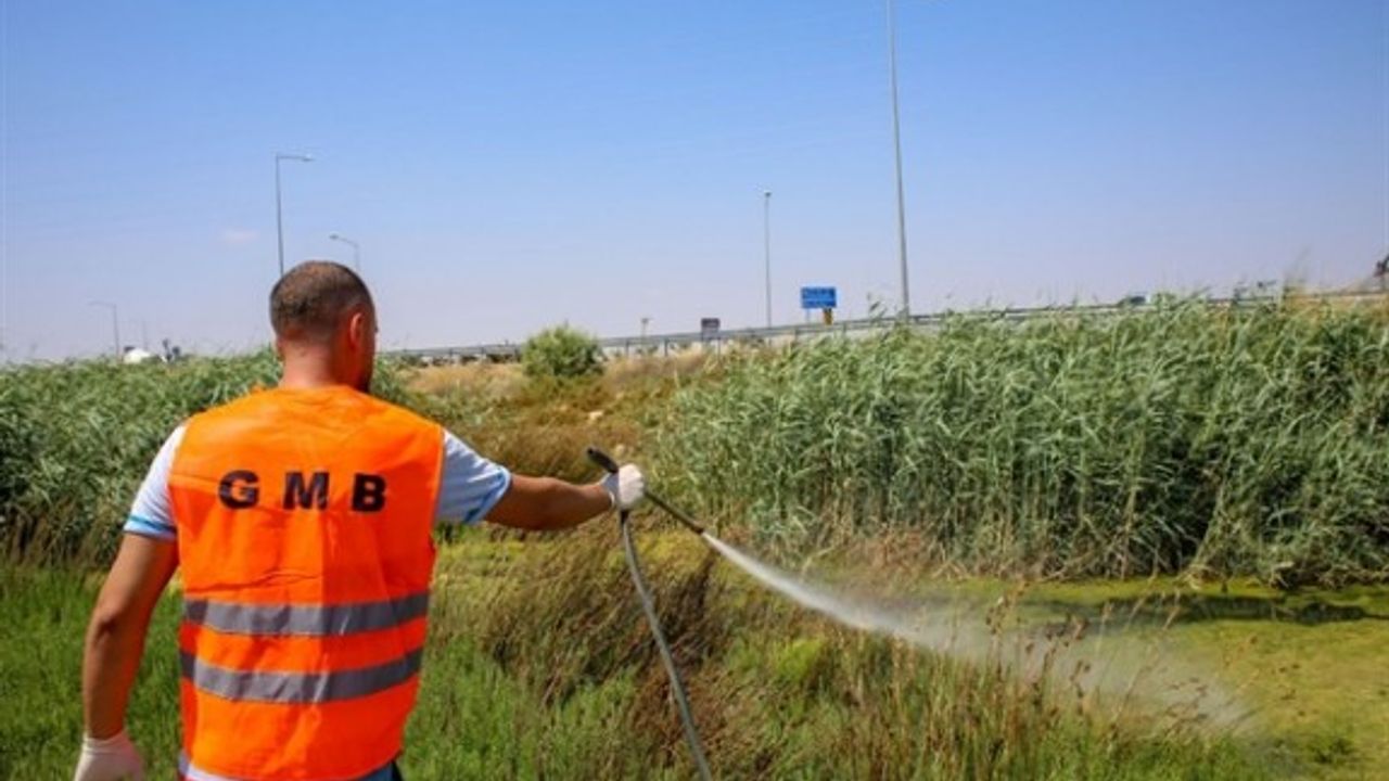 Mağusa Belediyesi “Batı Nil Virüsü” ne karşı çalışmalarını yoğunlaştırdı