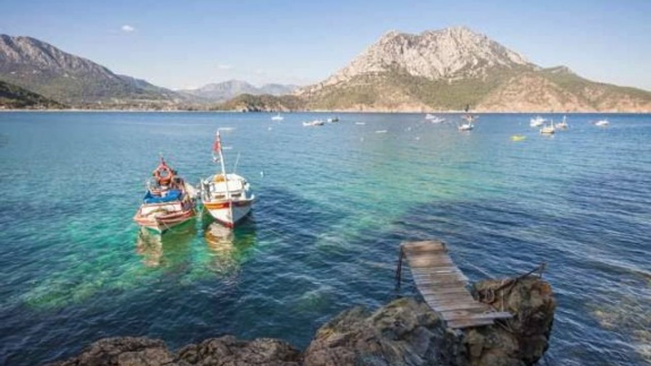 Akdeniz tropikleşiyor, zehirli balıklar çoğalıyor