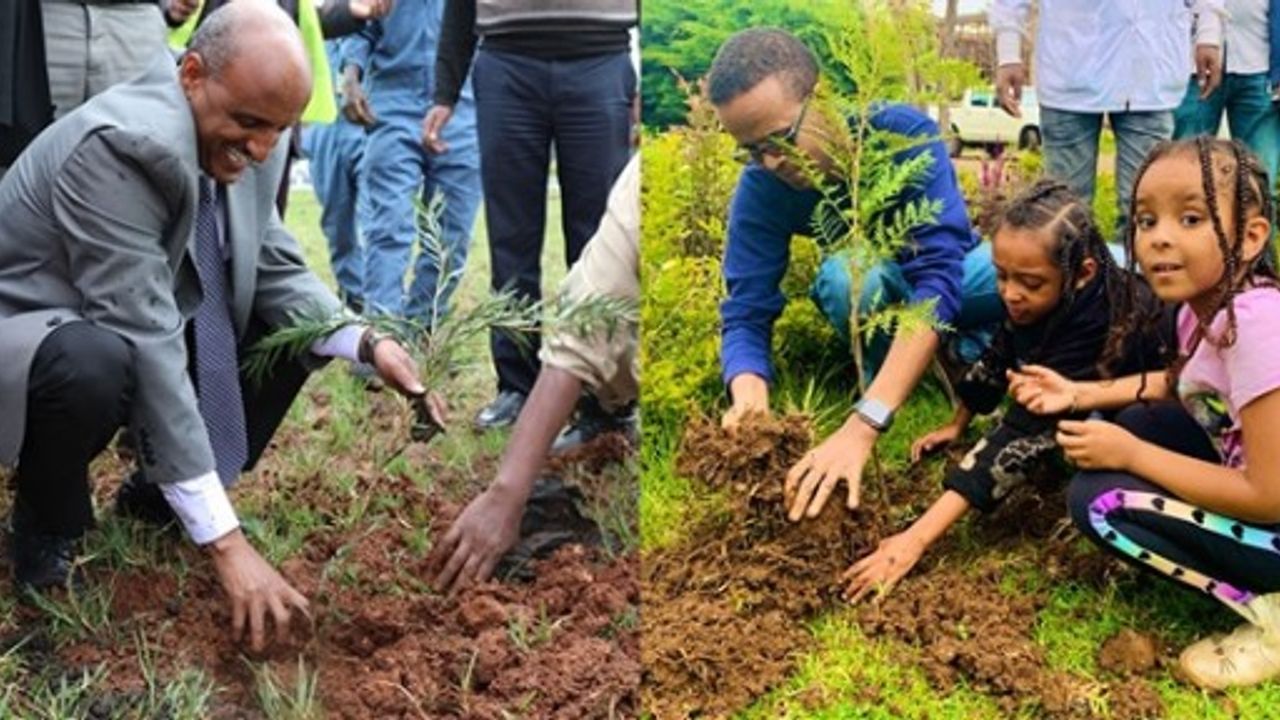 Etiyopya'dan ağaç dikme rekoru