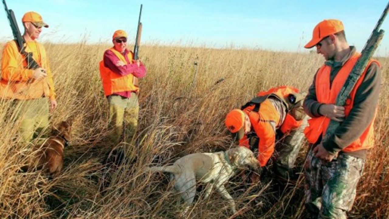 Güney'de Av Yasası değişiyor