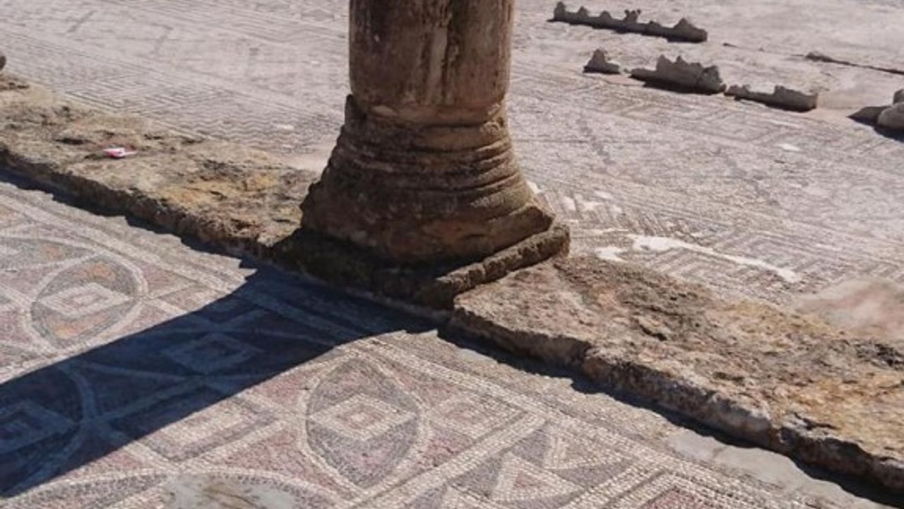 "Kültürel Miras Elçileri' projesine büyük ilgi