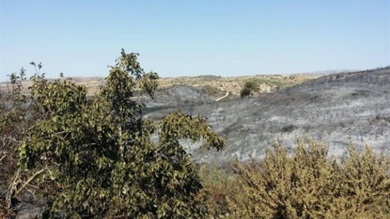 Limasol'daki yangın tamamen kontrol altına alındı
