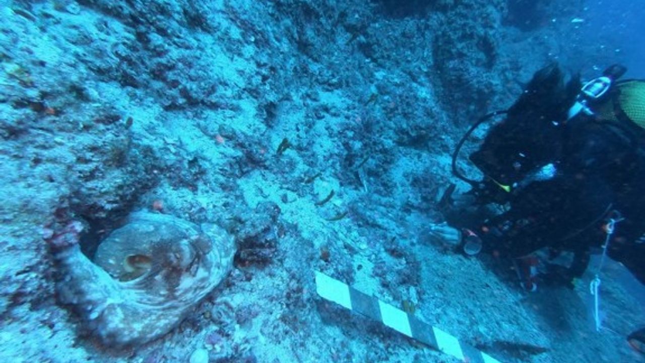 'Sualtının Göbeklitepesi' Antalya'da yüzeye çıkıyor