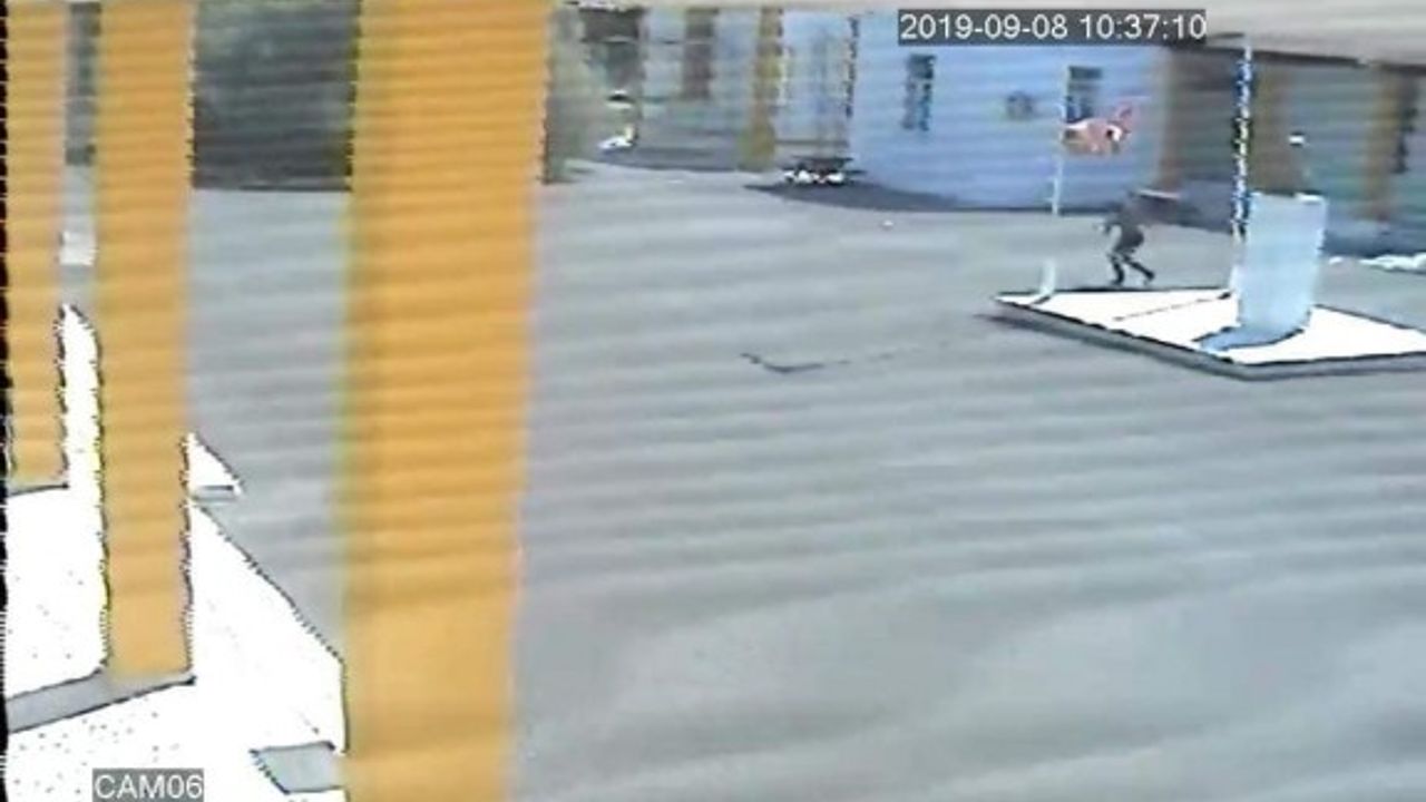 Ayine geldi, bayrak ve fotoğrafları çaldı