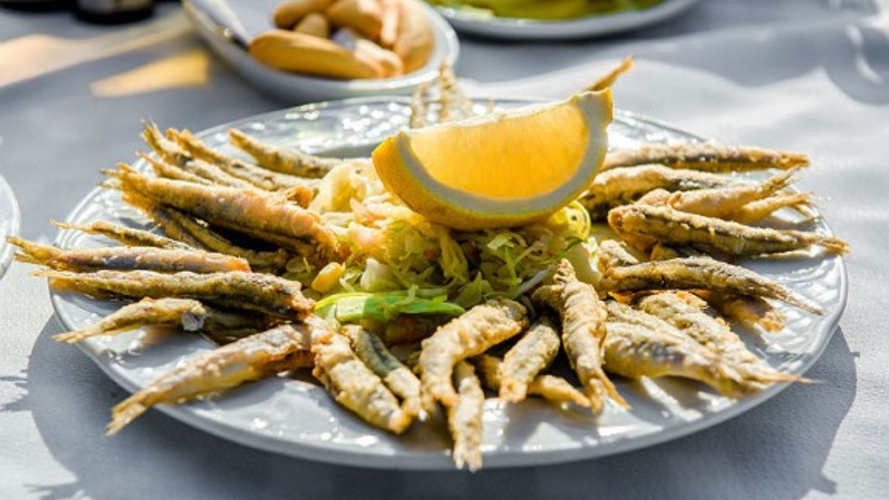 Balığa dair bilinmesi gereken her şey