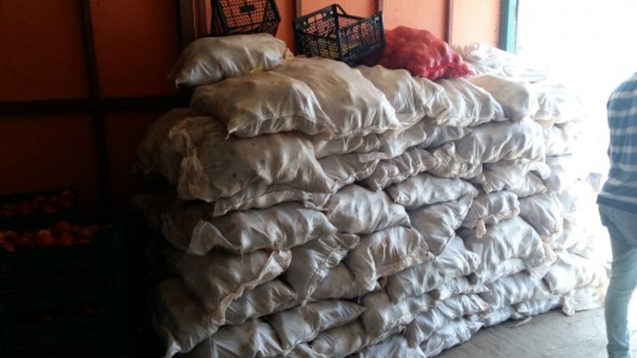 Kaçak 800 çuval patates imha edildi