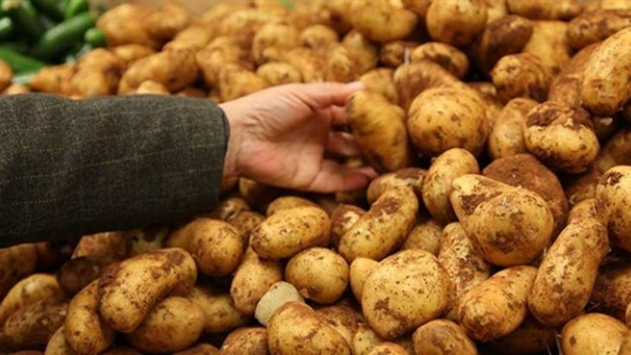 TÜK, sofralık patates satış fiyatını düşürdü