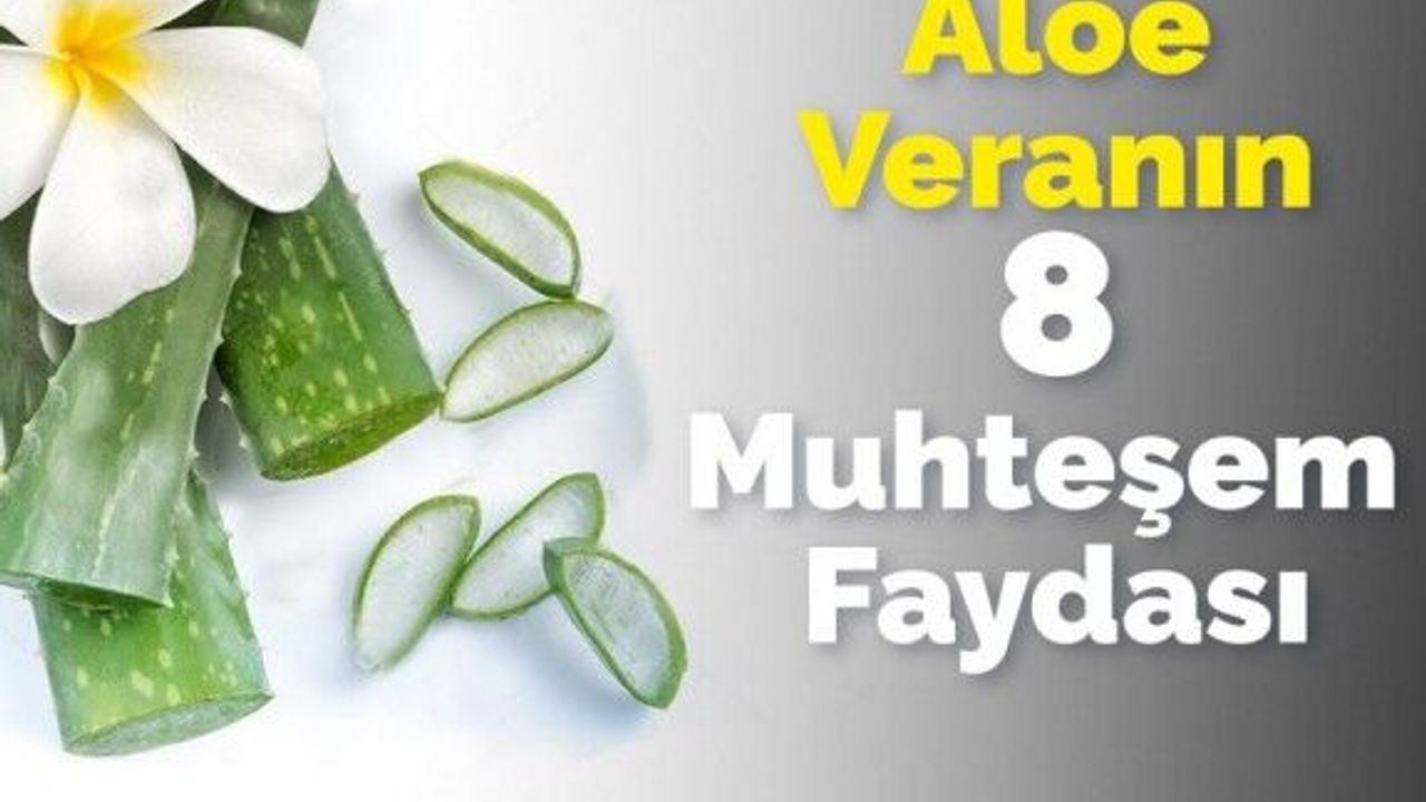 Aloe Verann 8 nanlmaz Faydas - Halkn Sesi | Dnyay Tarafsz Okuyun!
