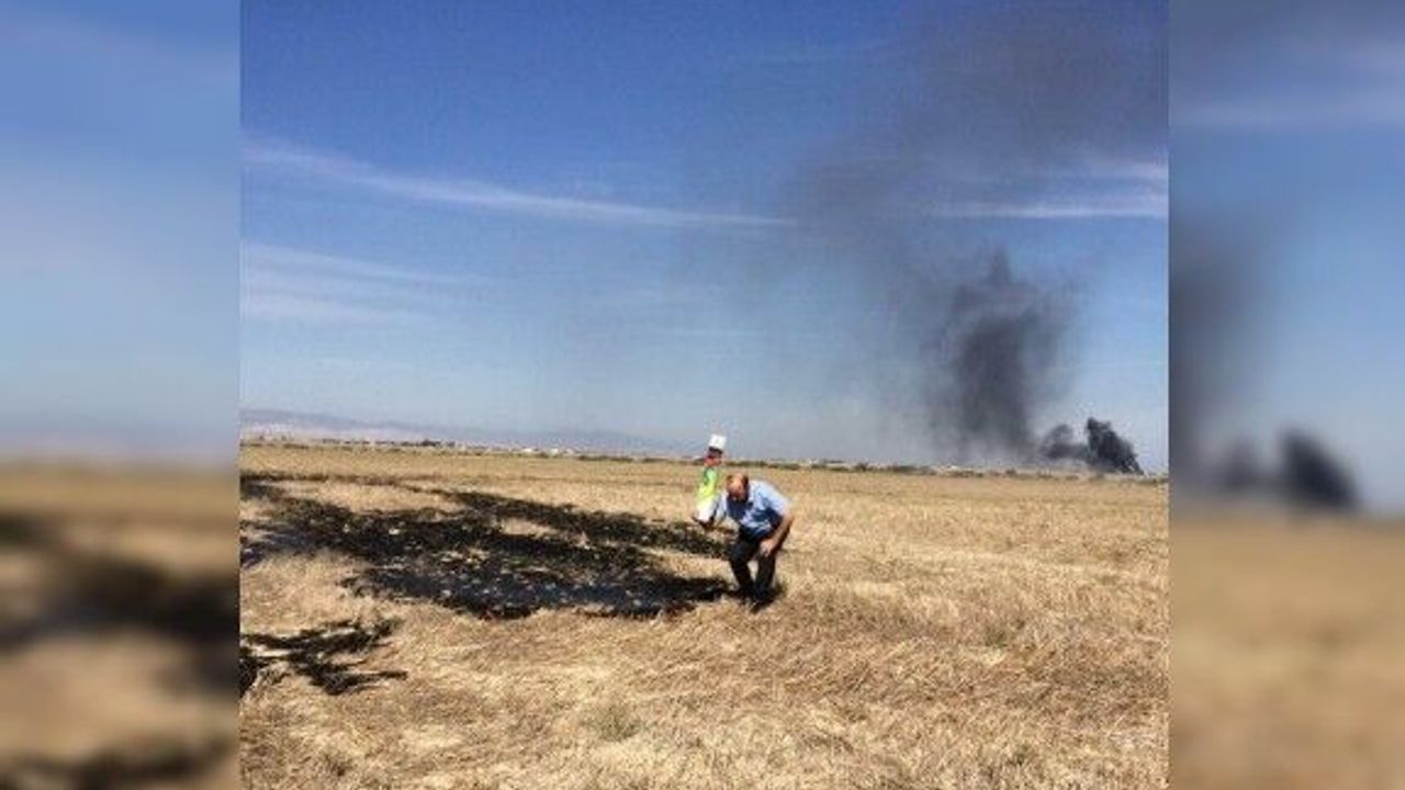 Yakılan anızlarla doğal hayatta yanıyor