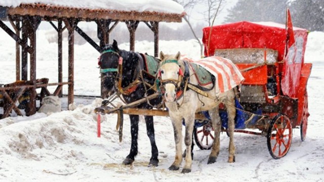 Büyükada'nın ardından Abant'da da karantina başladı