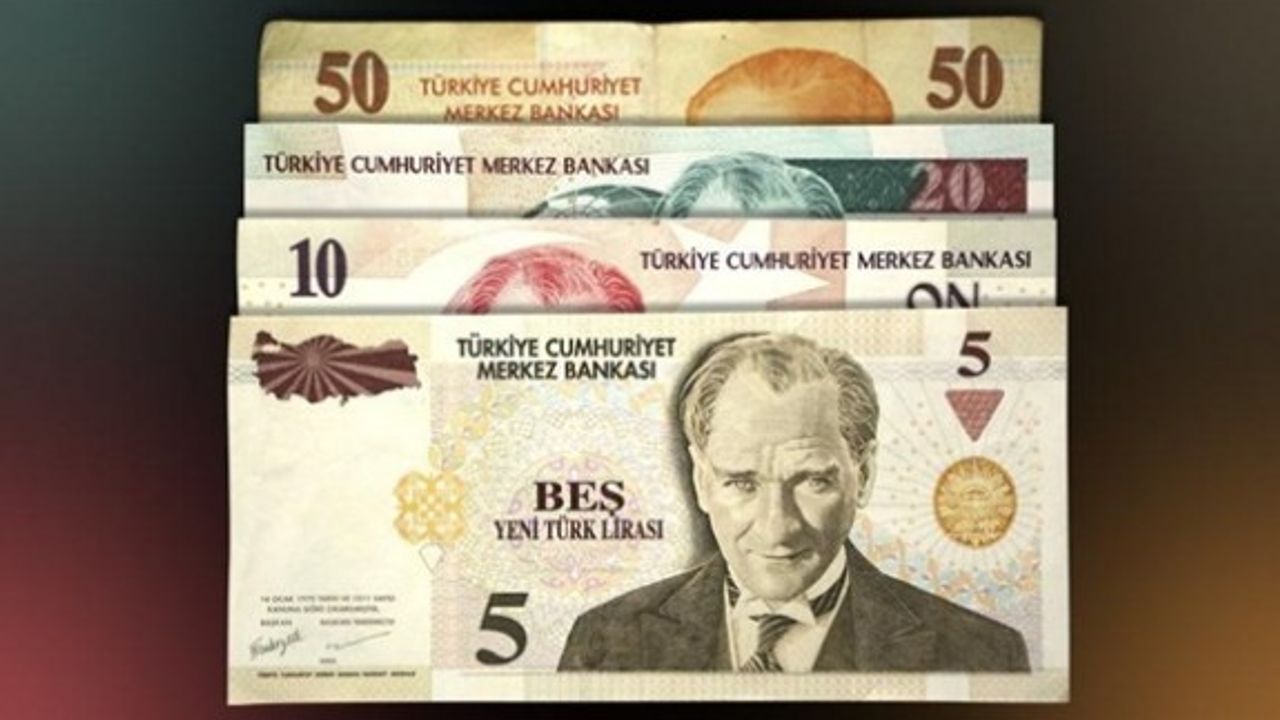 Yeni Türk Lirası banknotlar 1 Ocak'tan itibaren tamamen değerini kaybedecek