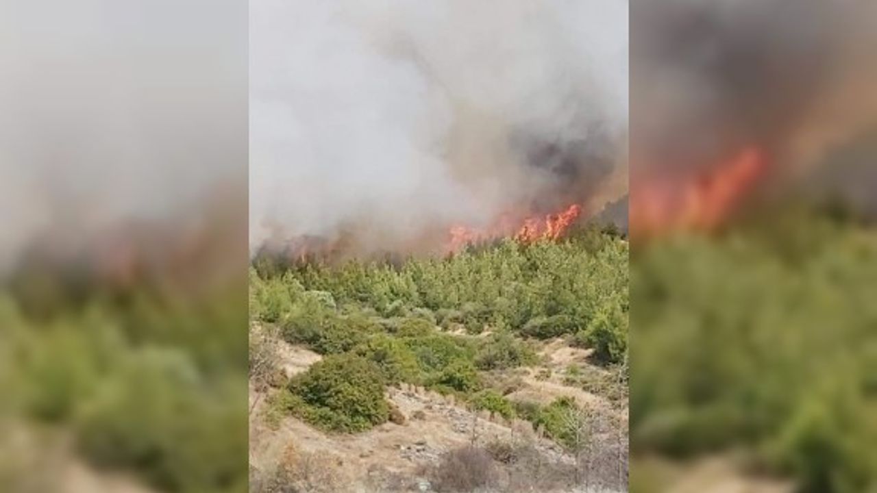 Aplıç Sınır kapısı yakınlarında başlayan yangın büyüdü