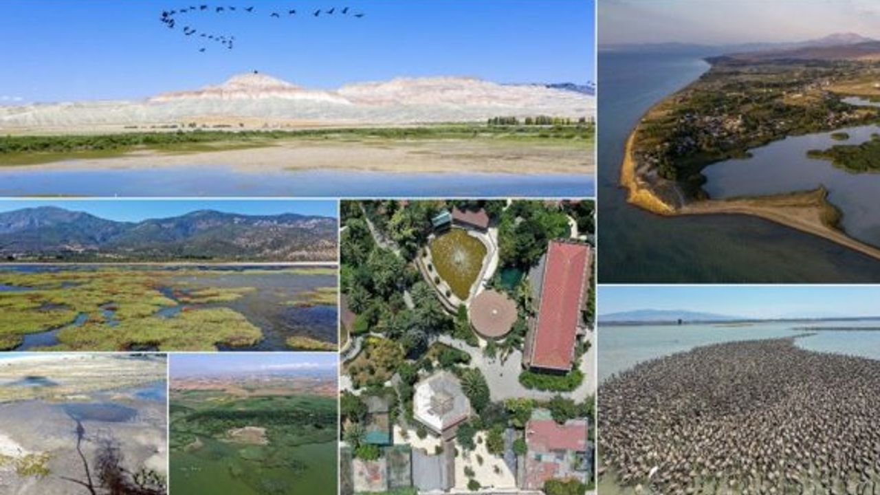 Türkiye'nin büyüleyen güzelliği: Kuş cennetleri