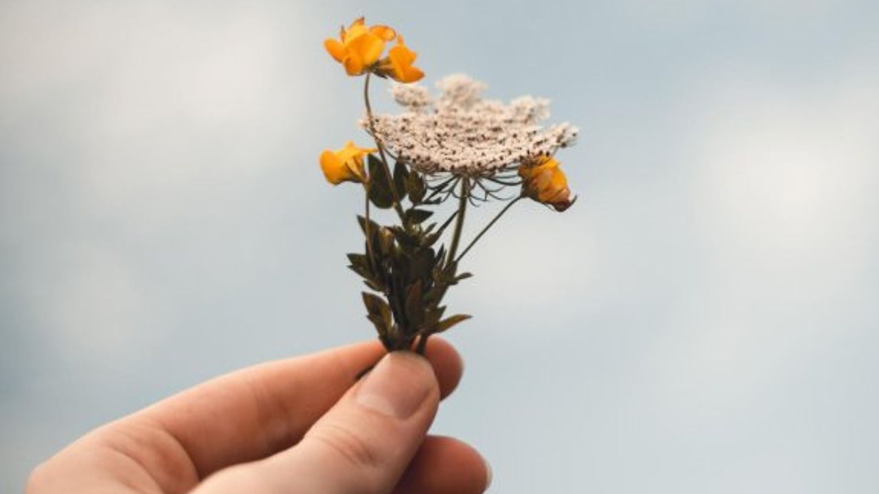 Doğum Ayınızın Çiçeği ve karakterinize etkisi