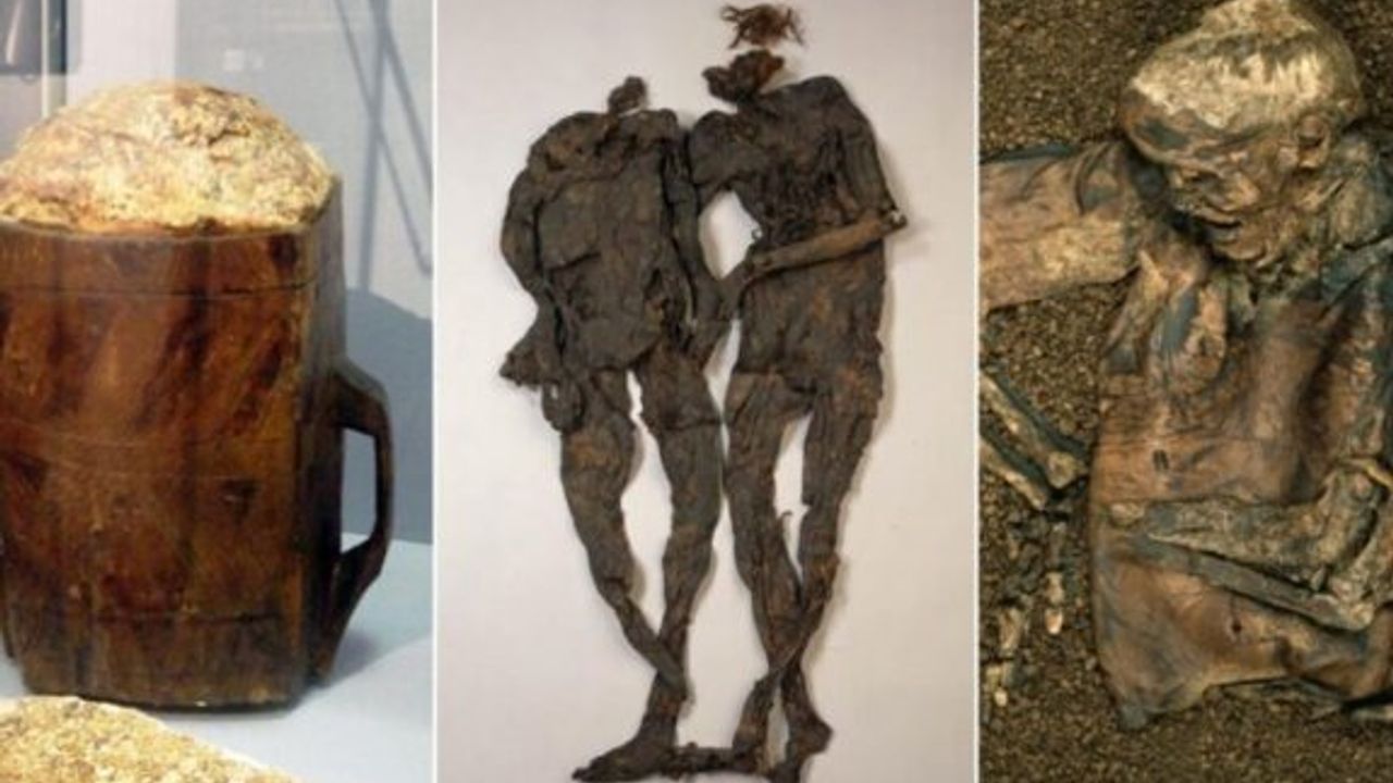 Bataklıklarda Bulunan 11 İlginç ve Şaşırtıcı Şey