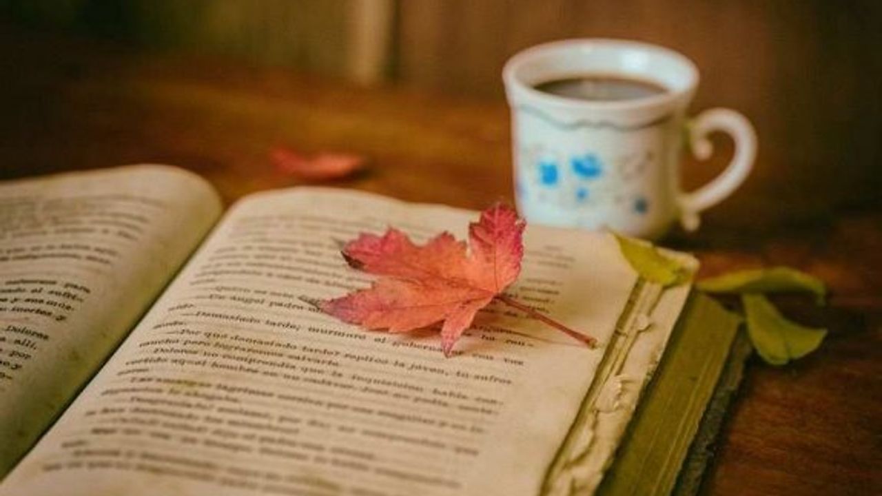 Her satırında duygularınızın kabaracağı efsane aşk romanları