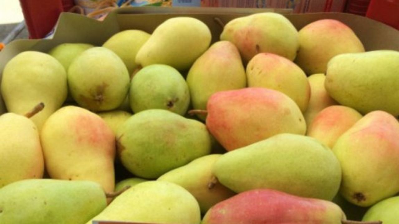 Armut ve sivri biberde limitüstü kalıntı