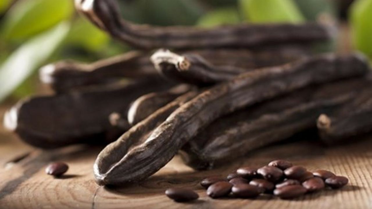 Binboğa Harup taban alım fiyatını belirledi