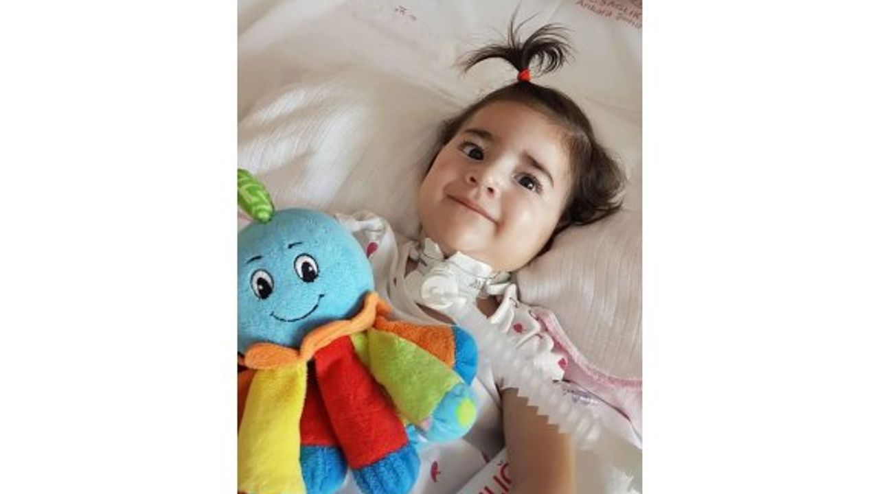 Güney’den, Asya’nın tedavisi için yeşil ışık