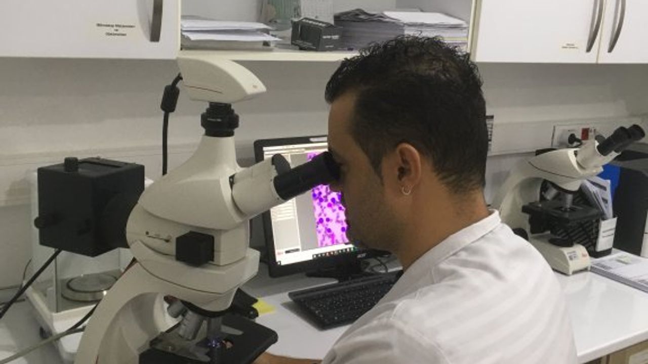 YDÜ Hayvan Hastanesi, pek çok tahlili dünya standartlarında yapıyor