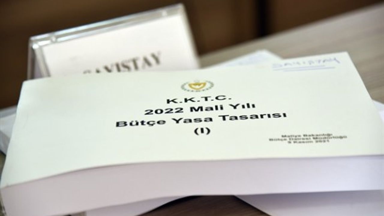 2022 yıl bütçesi komite görüşmeleri tamamlanıyor