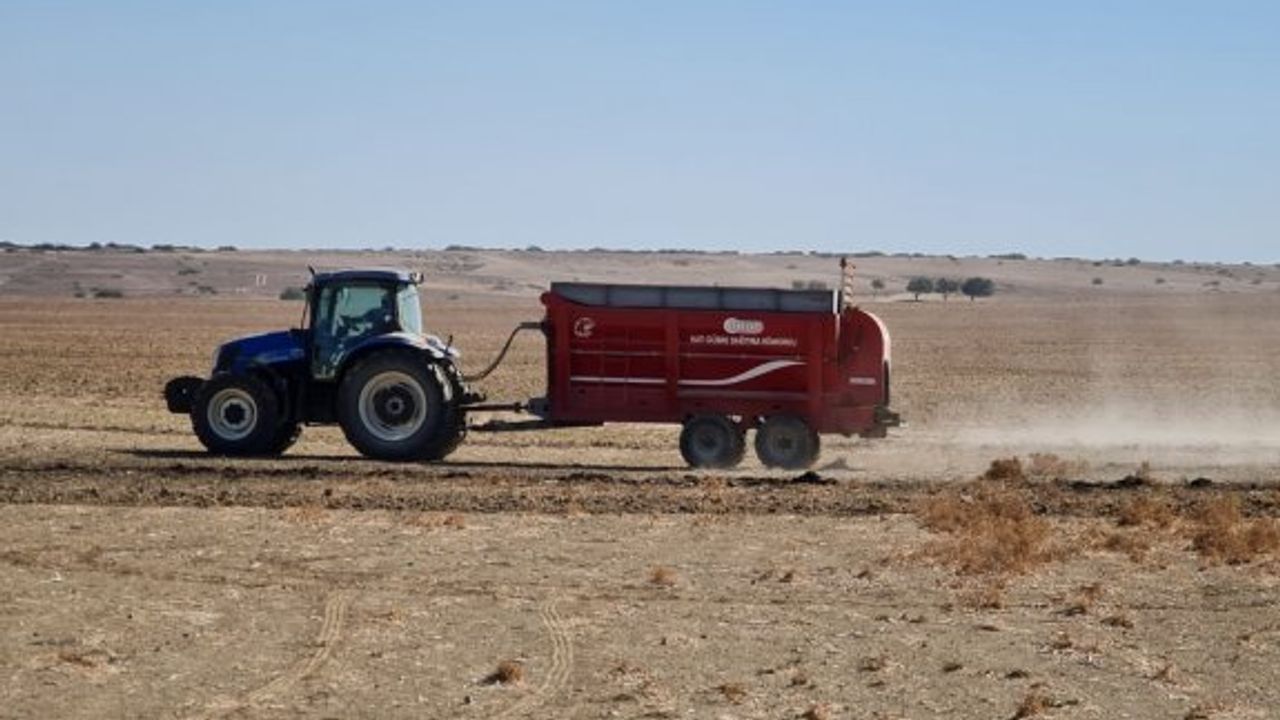 Atık çamur, tahıl üretiminde verimi artırıyor