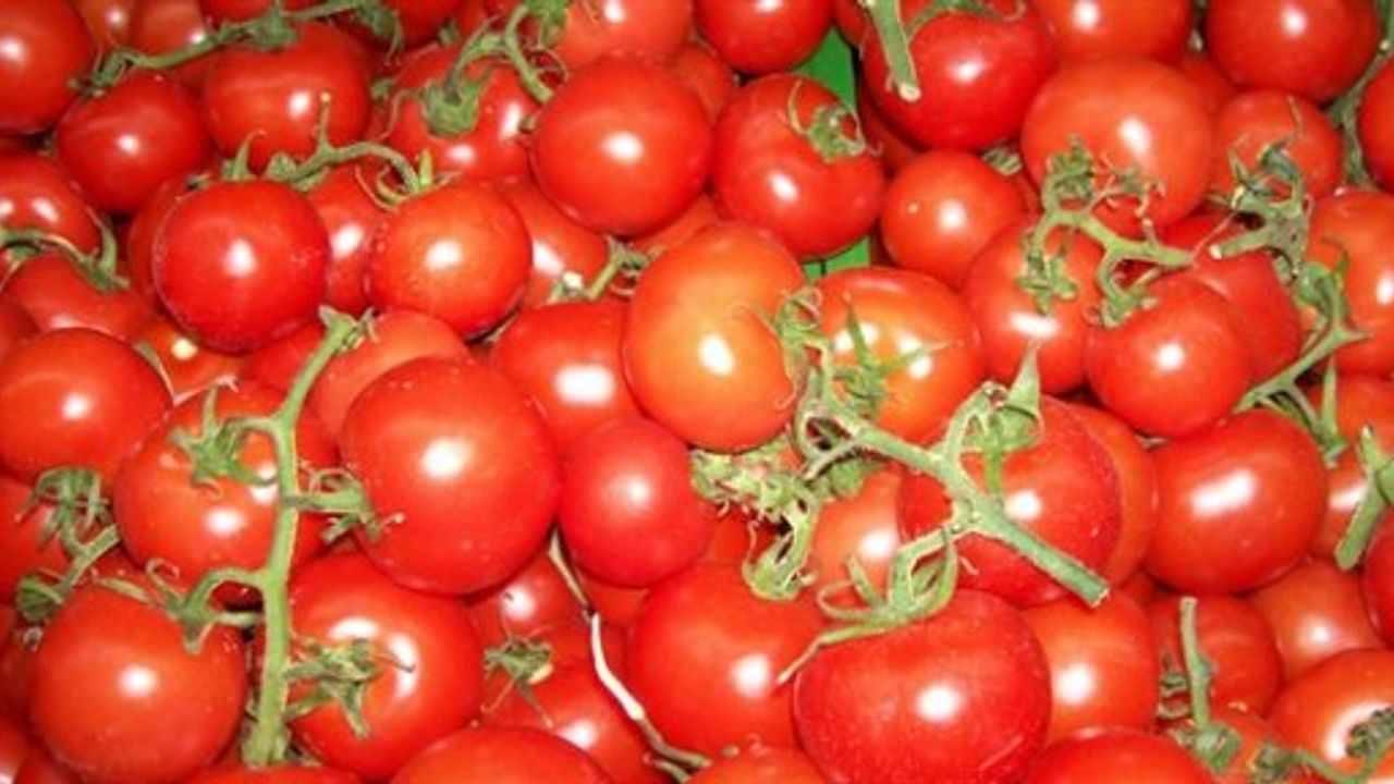 Çeri domates ve ıspanakta limit üstü kalıntı