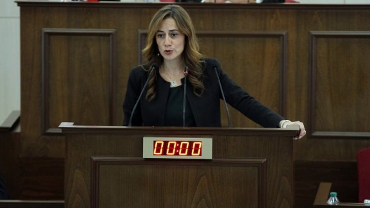 “Ersin bey, kaymakam ve vali düzeyinde geziyor”