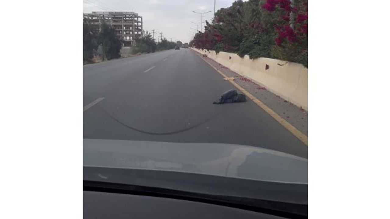 “Fırtına, çevremizi ne kadar kirlettiğimizi gösterdi”