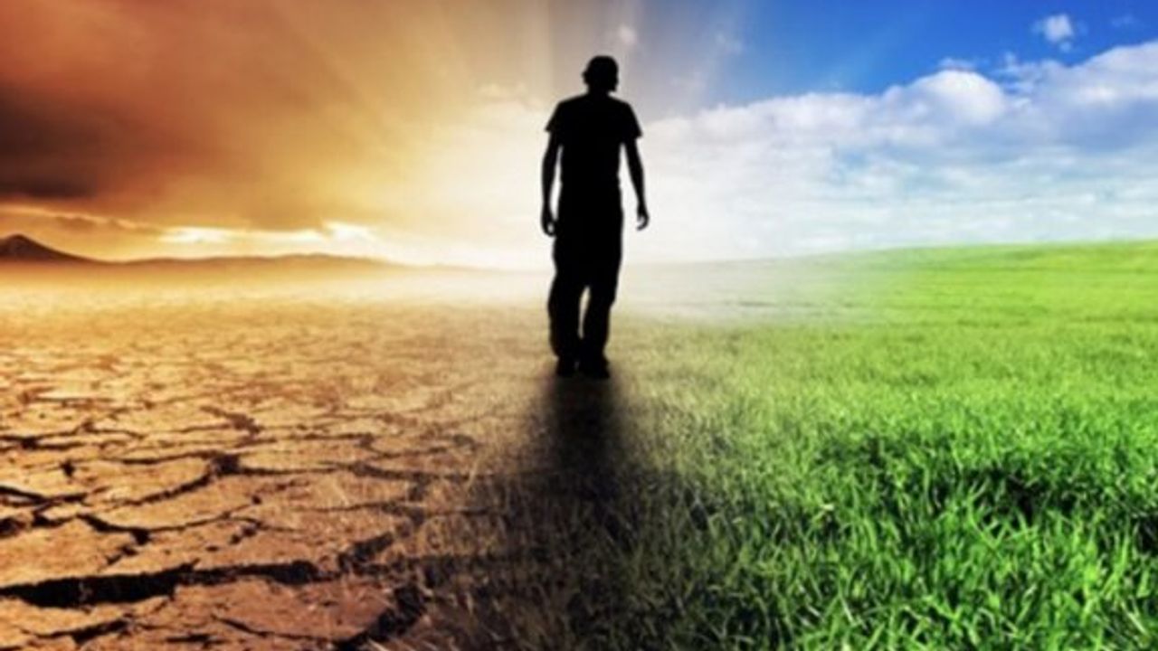 İklim krizi ve küresel ısınma ile mücadele etmenin 7 yolu