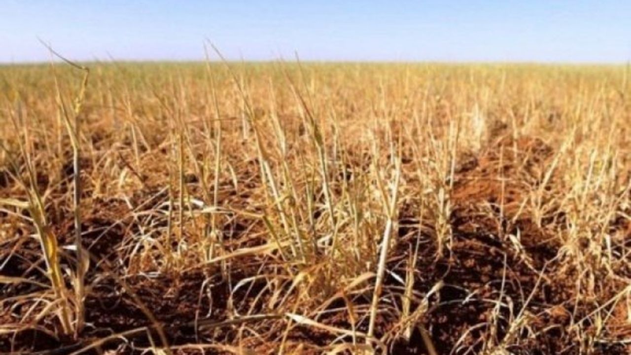 Kuraklık tazminatlarının 1. avans ödemesi yapıldı