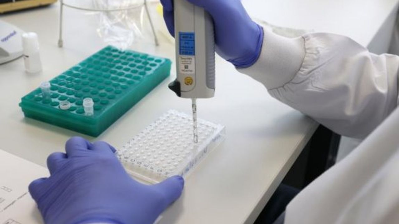 PCR ve hızlı testlerin Güney'e maliyeti ağır