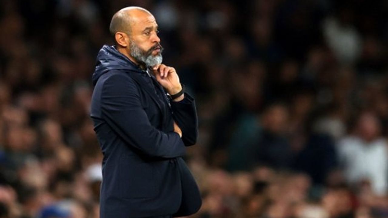 Tottenham'da Espirito dönemi sona erdi