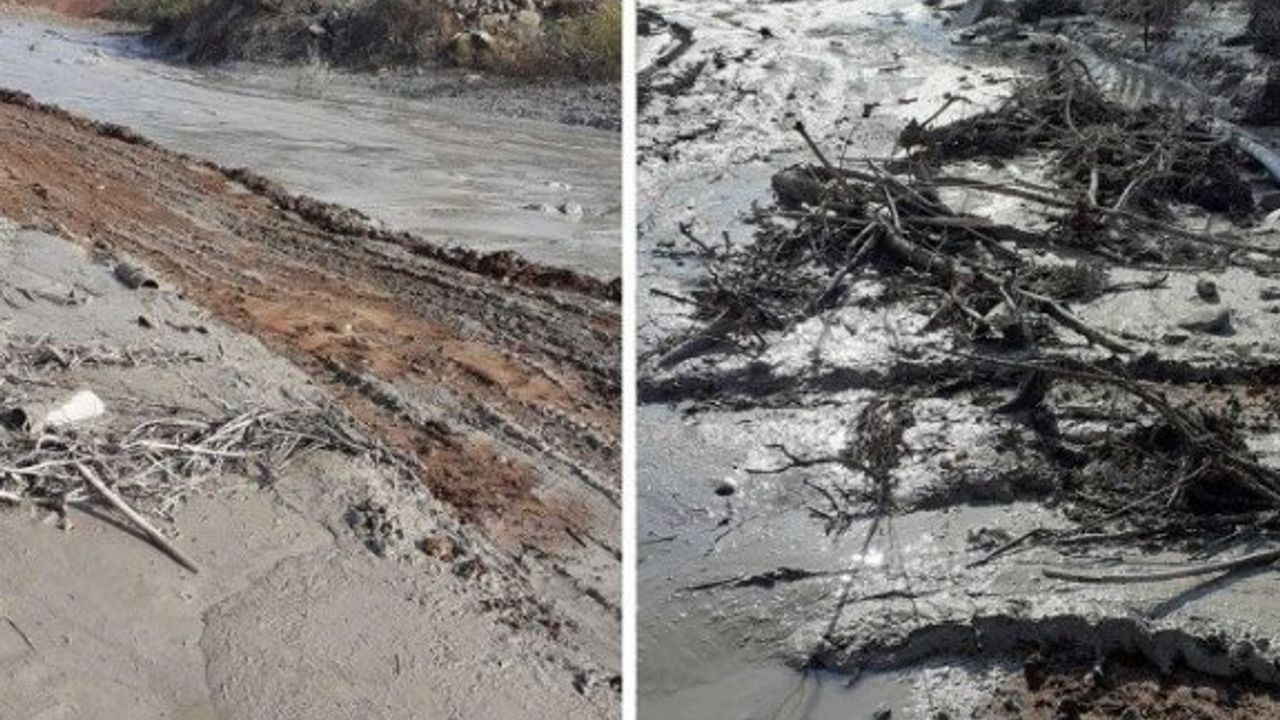 Giresun'daki çevre felaketine rekor ceza