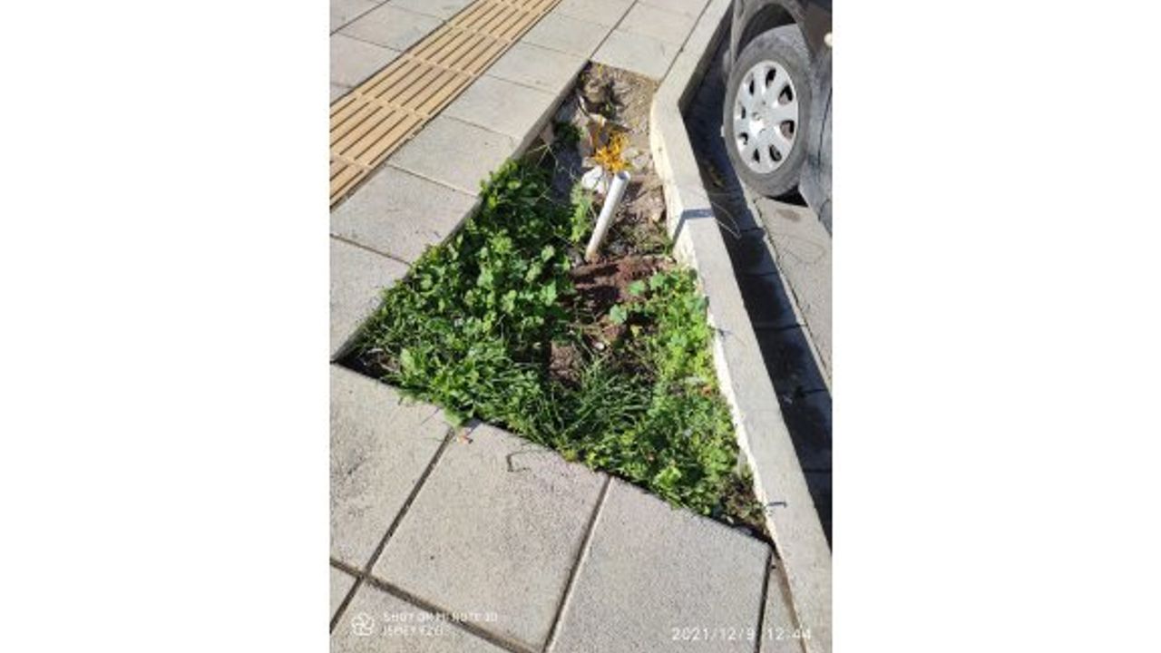 Kentin göbeğinde bubi tuzağı gibi kazık