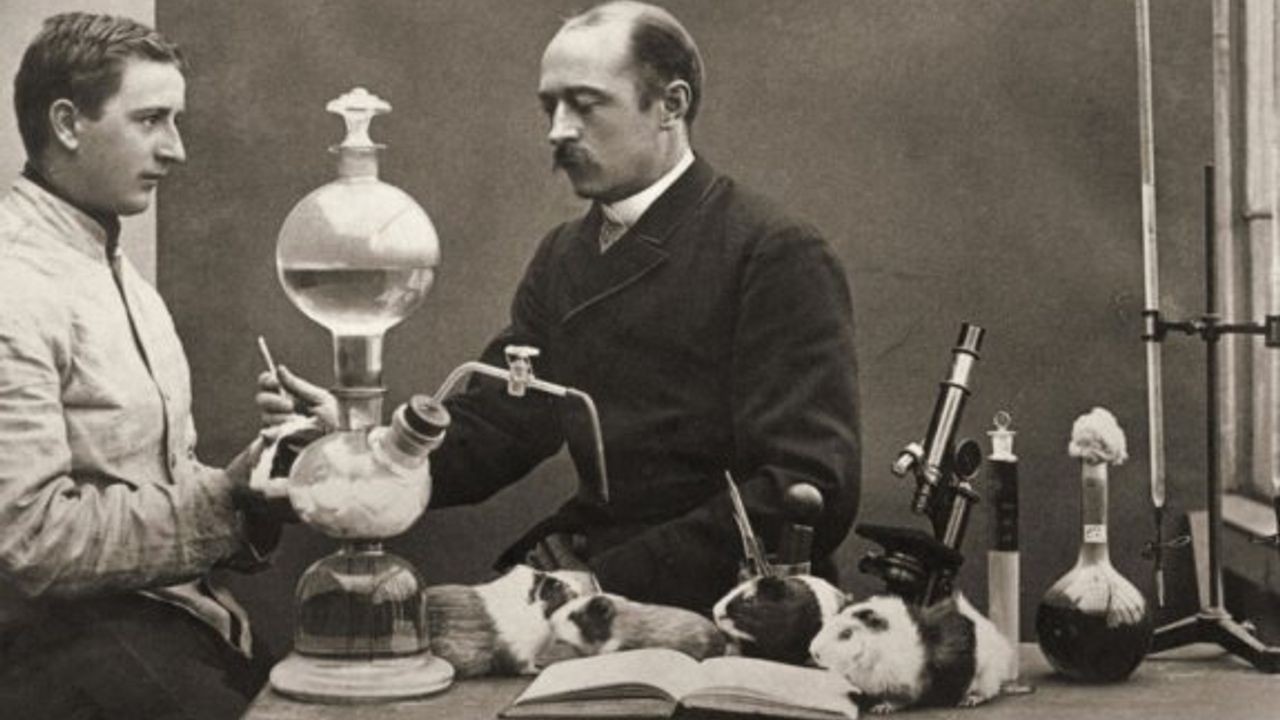 Plazma Tedavisi: Aşılar Yokken Salgın Hastalıkların Seyrini Değiştiren Tedavi Yöntemi